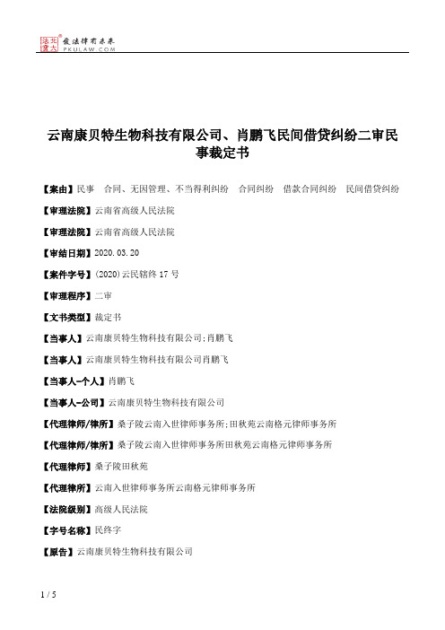 云南康贝特生物科技有限公司、肖鹏飞民间借贷纠纷二审民事裁定书