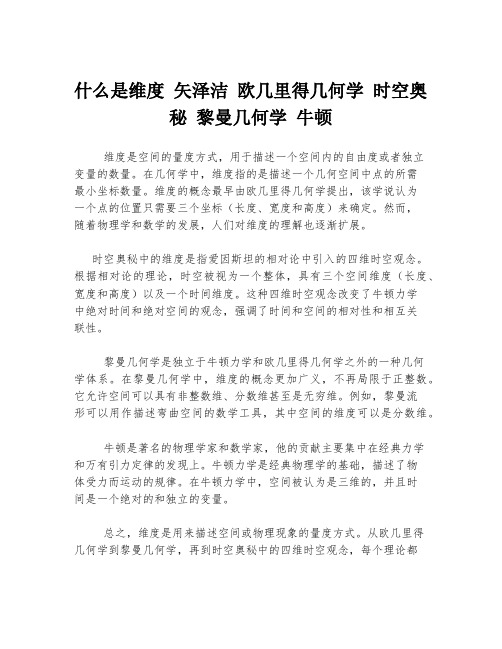 什么是维度 矢泽洁 欧几里得几何学 时空奥秘 黎曼几何学 牛顿