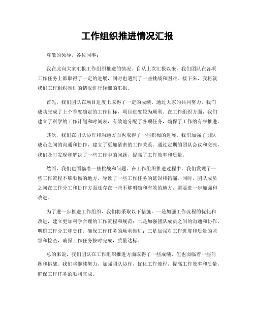 工作组织推进情况汇报