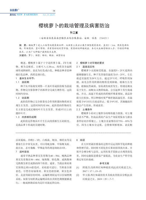 樱桃萝卜的栽培管理及病害防治