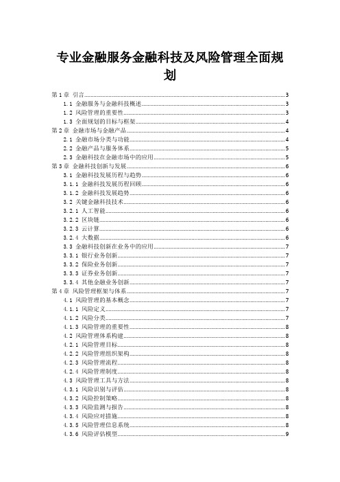 专业金融服务金融科技及风险管理全面规划