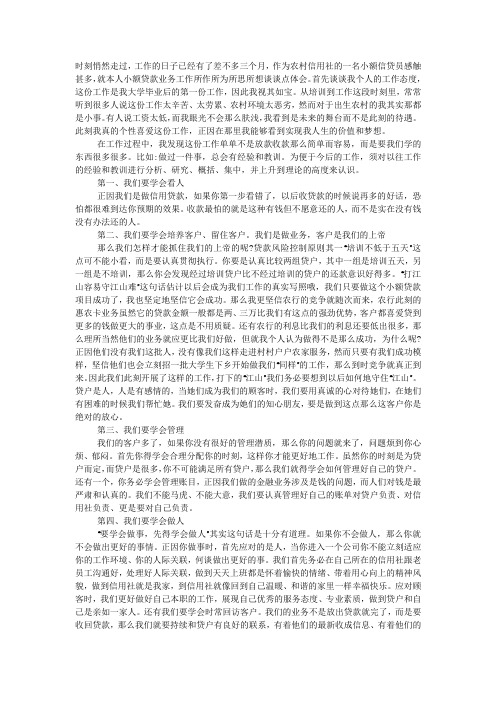 小额信贷员工作总结.docx