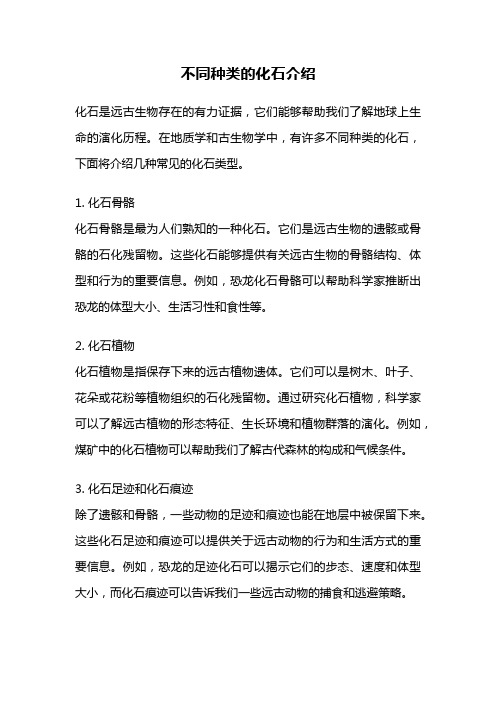 不同种类的化石介绍