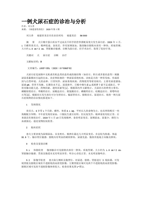 一例犬尿石症的诊治与分析