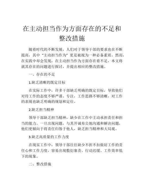 在主动担当作为方面存在的不足和整改措施