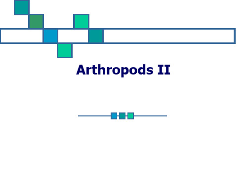 寄生虫学：Arthropods(节肢动物) 2(2014)