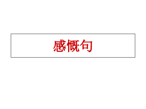 九年级英语感叹句专项讲解与练习课件