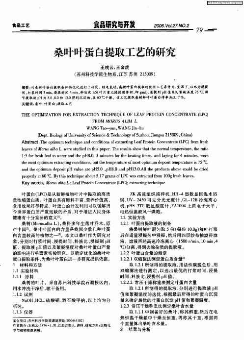 桑叶叶蛋白提取工艺的研究
