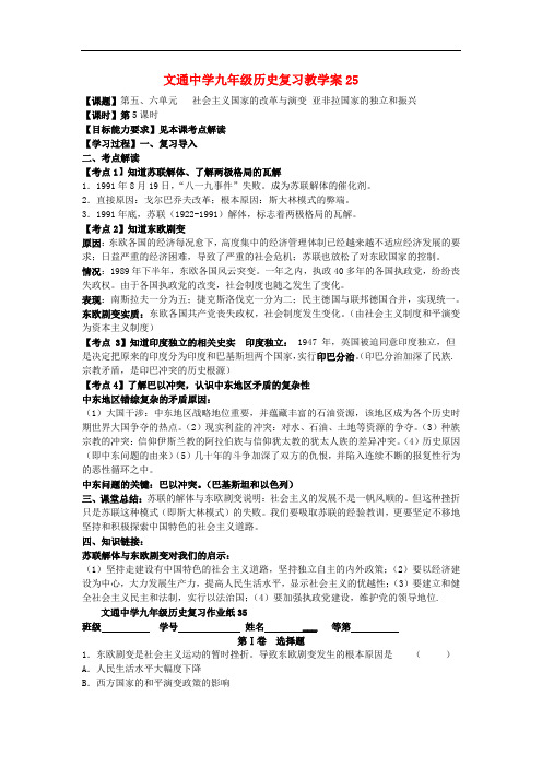 江苏省文通中学九年级历史总复习教学案25(无答案)