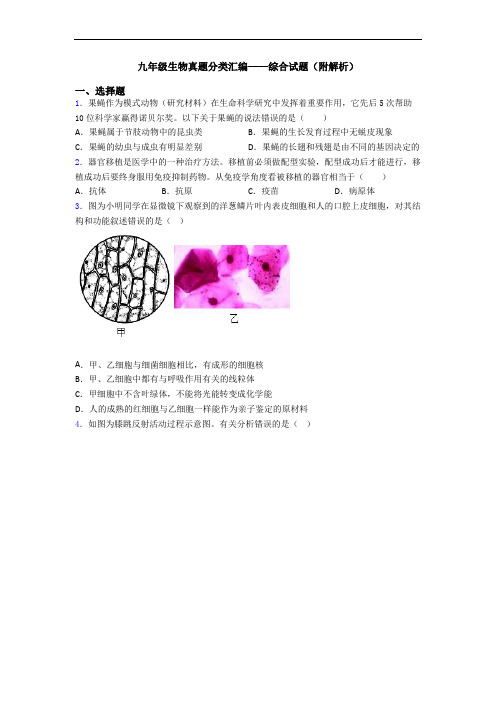 九年级生物真题分类汇编——综合试题(附解析)