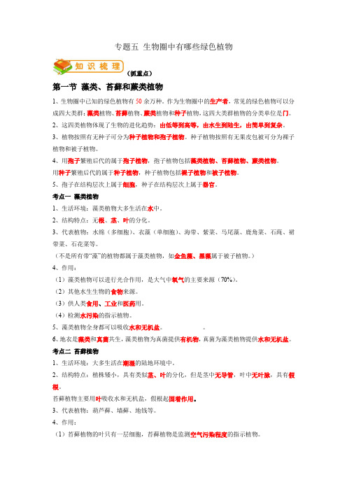 专题05 生物圈中有哪些绿色植物-2022年中考生物一轮复习抓重点考典型(人教版)(解析版)