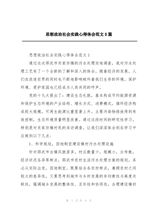 思想政治社会实践心得体会范文5篇