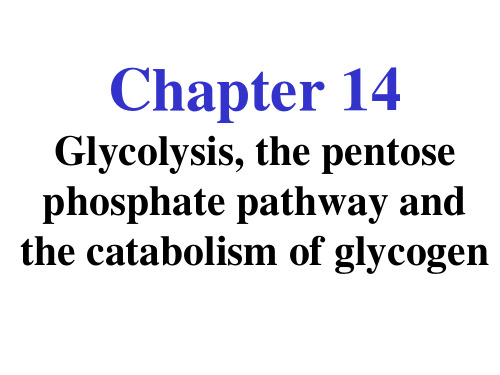 清华大学生物化学课件  糖酵解