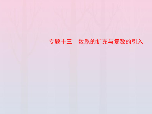 2023版高考数学一轮总复习13数系的扩充与复数的引入课件