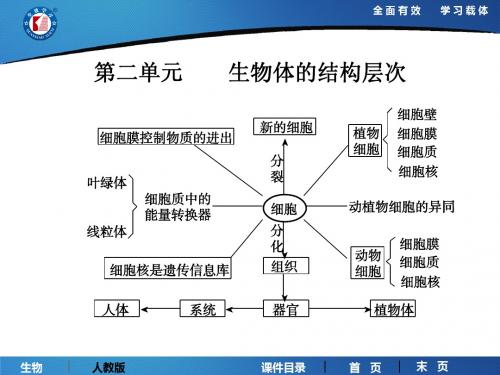 中考生物全能复习课件第二单元 课时3 细胞是生命活动的基本单位