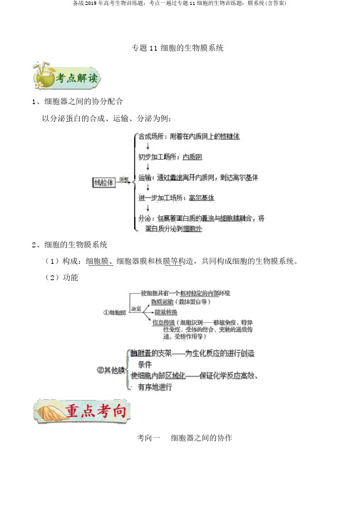 备战2019年高考生物训练题：考点一遍过专题11细胞的生物训练题：膜系统(含答案)