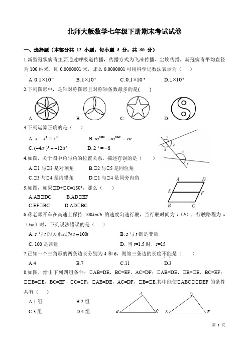 北师大版数学七年级下册期末考试试题含答案