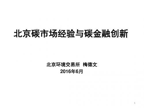 碳市场经验与碳金融创新培训课件(ppt 61张)