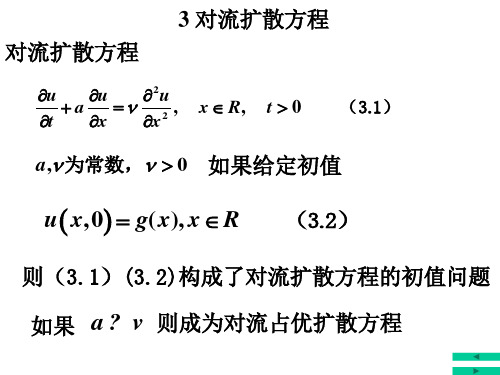 偏微(10)对流扩散方程