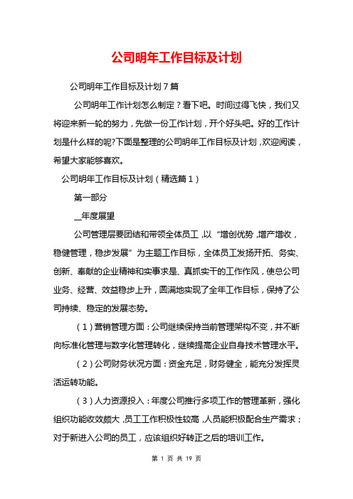 公司明年工作目标及计划