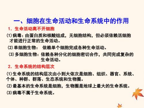 高中生物第01章走近细胞复习与测试课件(基础版)新人教
