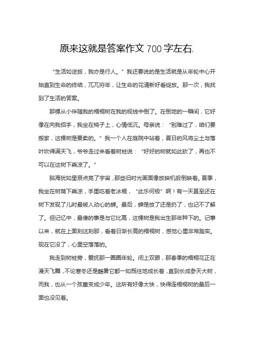 原来这就是答案作文700字左右