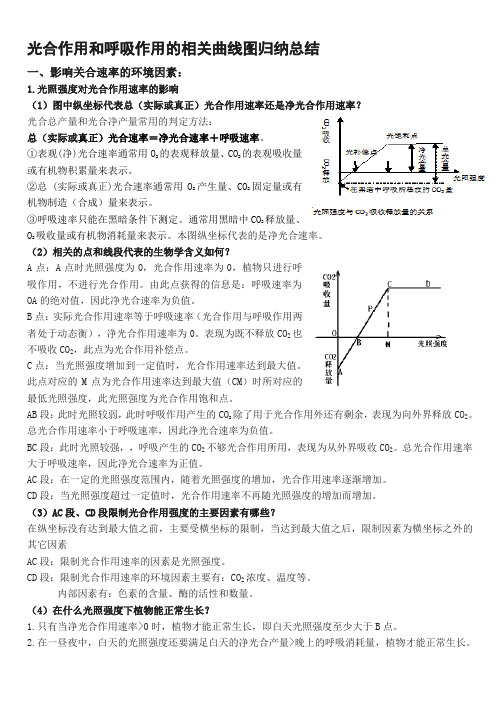 呼吸作用和光合作用曲线图的分析名师制作优质教学资料