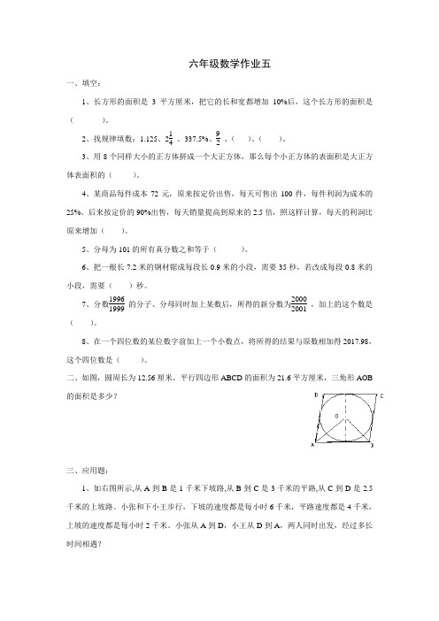 苏教版六年级下册数学作业五