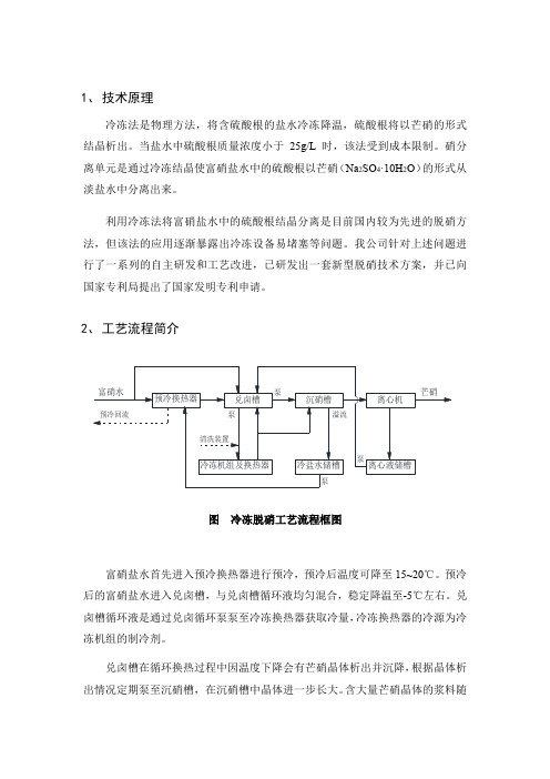 冷冻脱硝工艺简介