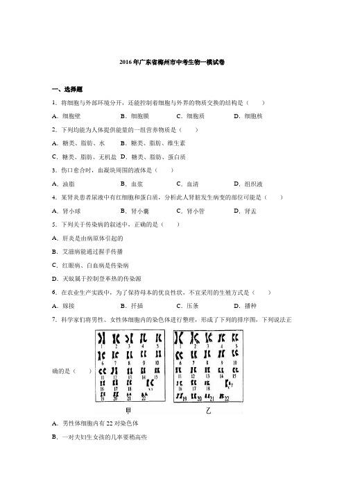 广东省梅州市2016届中考生物一模试卷.doc