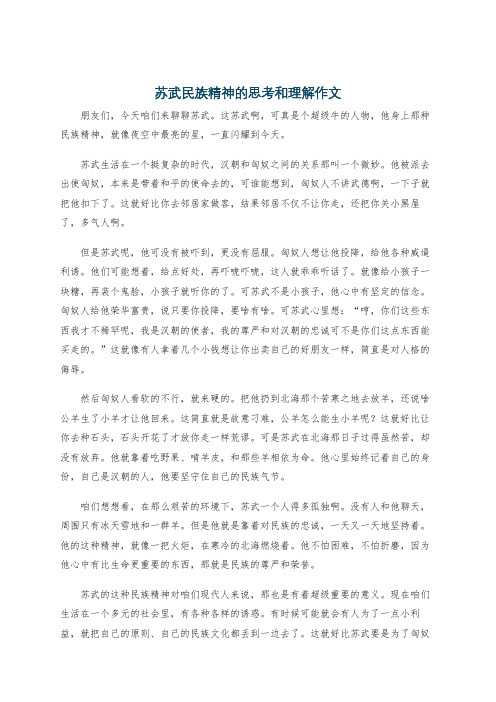 苏武民族精神的思考和理解作文