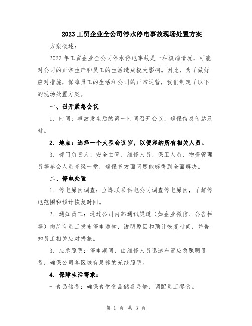 2023工贸企业全公司停水停电事故现场处置方案