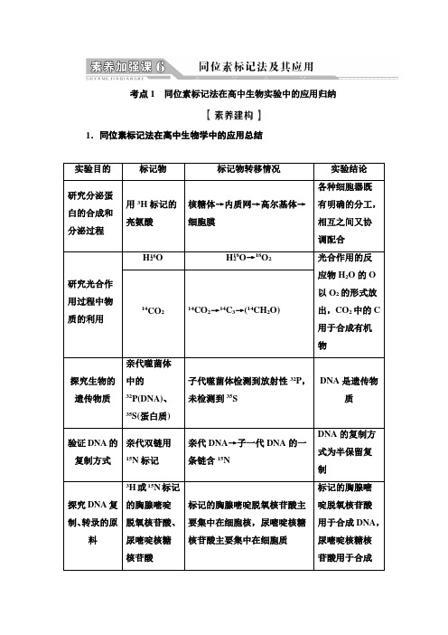 2023版高三一轮总复习生物人教版必修2 第6单元 素养加强课6同位素标记法及其应用