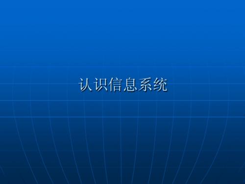 认识信息系统