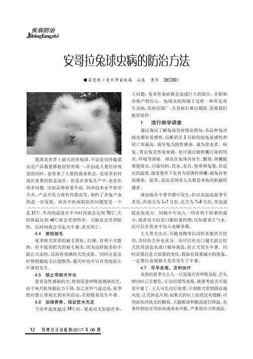 安哥拉兔球虫病的防治方法