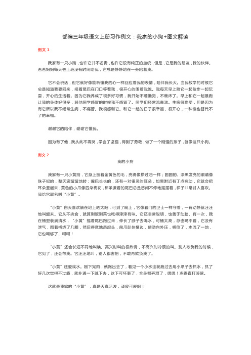 部编三年级语文上册习作例文：我家的小狗+图文解读