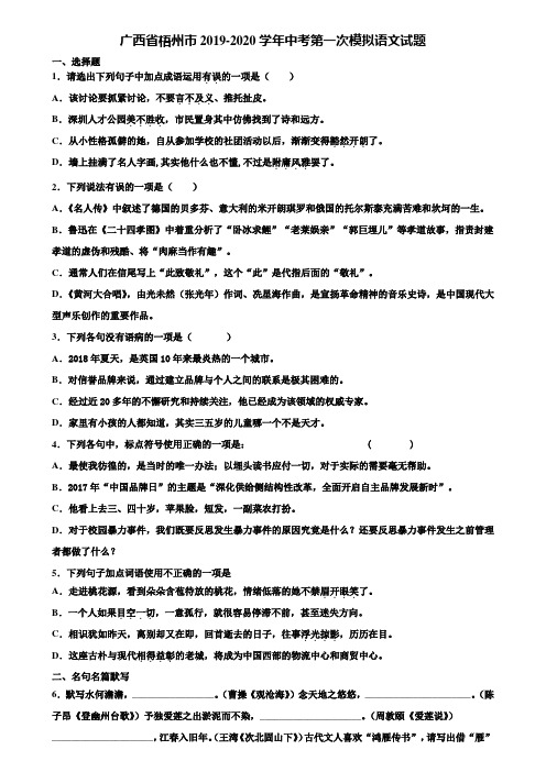 广西省梧州市2019-2020学年中考第一次模拟语文试题含解析