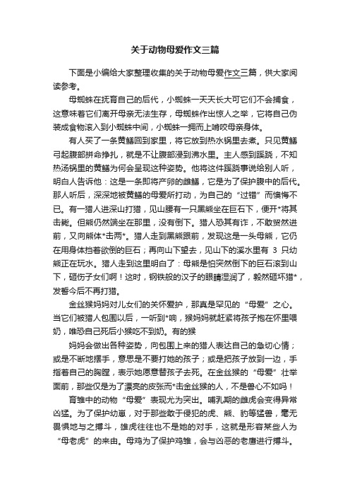 关于动物母爱作文三篇