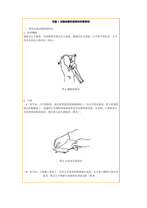 实验1 实验动物的捉持法和给药法