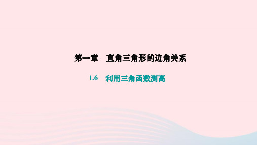 1.6利用三角函数测高作业课件  2023—2024学年北师大版数学九年级下册