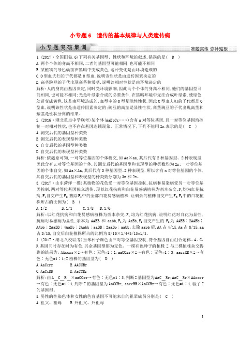 高考生物二轮复习小专题遗传的基本规律与人类遗传病练习
