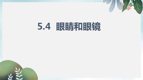 八年级物理上册5.4眼睛和眼镜课件新版新人教版