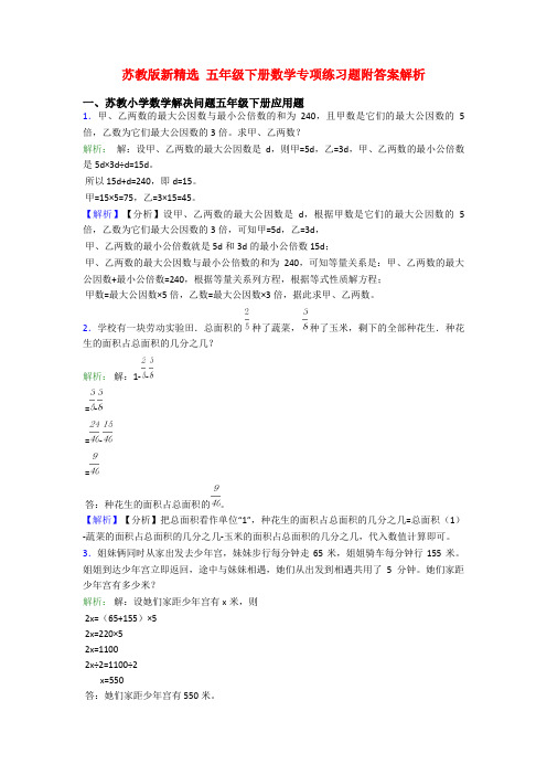 苏教版新精选 五年级下册数学专项练习题附答案解析