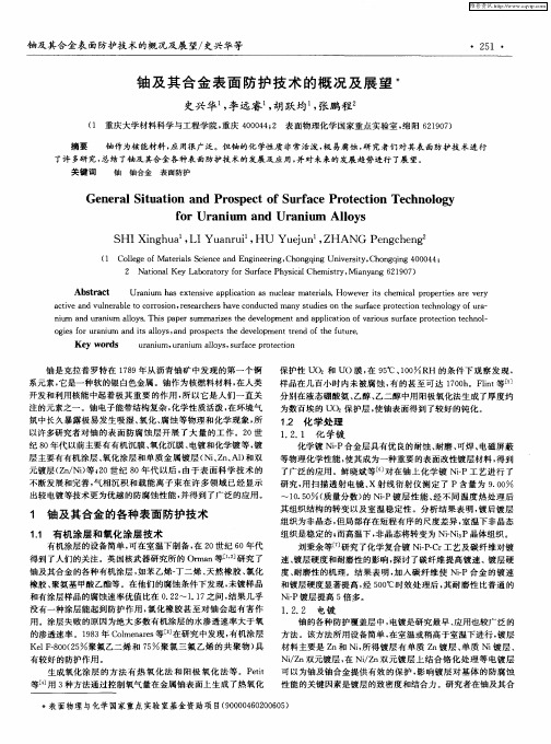 铀及其合金表面防护技术的概况及展望