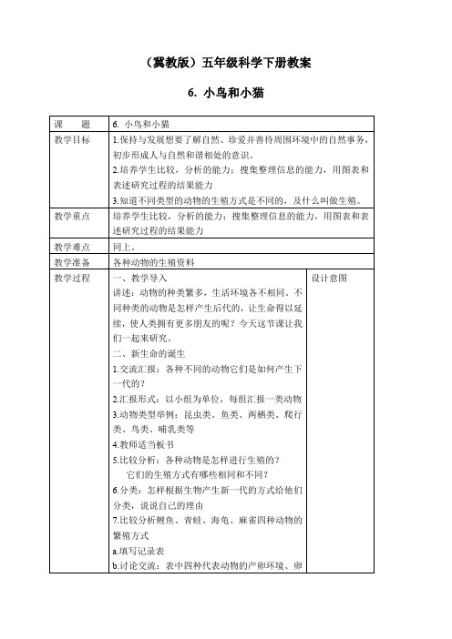 冀教小学科学五下册《6小鸟和小猫》word教案 (6)