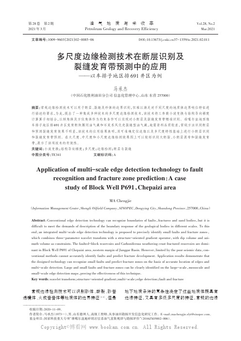 多尺度边缘检测技术在断层识别及裂缝发育带预测中的应用——以车排子地区排691井区为例