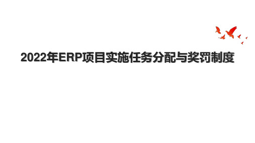 年ERP项目实施任务分配与奖罚制度