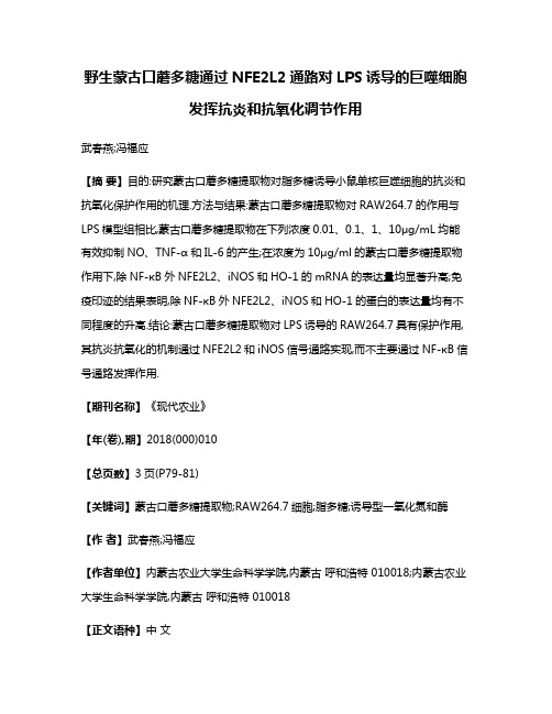 野生蒙古口蘑多糖通过NFE2L2通路对LPS诱导的巨噬细胞发挥抗炎和抗氧化调节作用