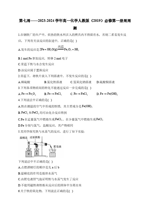 第07周——2024-2025学年高一化学人教版(2019)必修第一册周周测