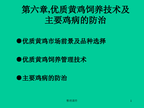 家禽生产技术优质黄鸡饲养技术及主要鸡病的防治